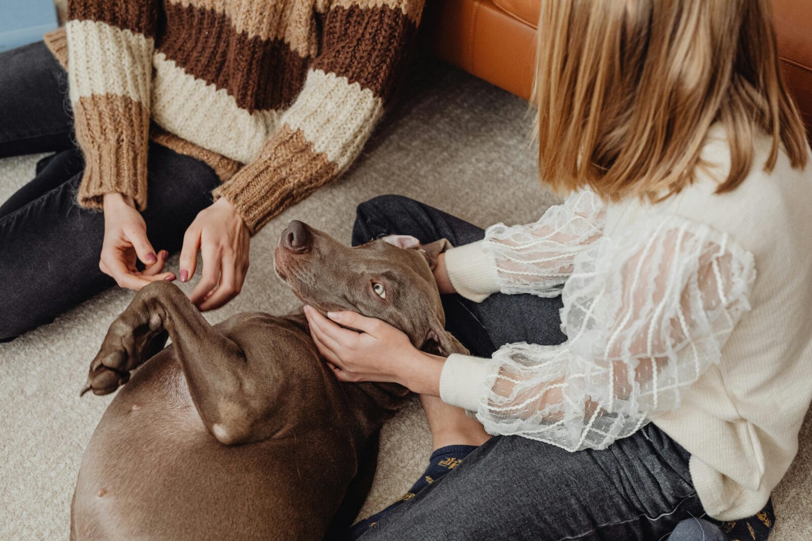 Two individuals sitting on the floor with a brown dog lying on its back, enjoying a moment of affectionate petting for mindful living