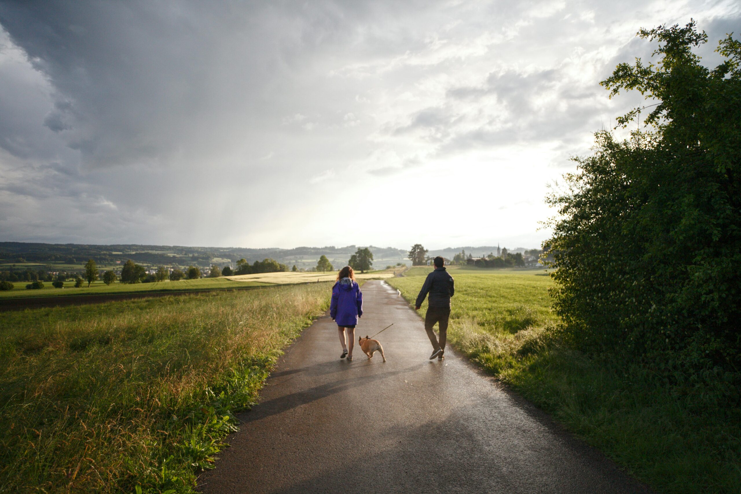 Two people and a small dog walking on a rural road under a stormy sky with a sunlit landscape in the background.