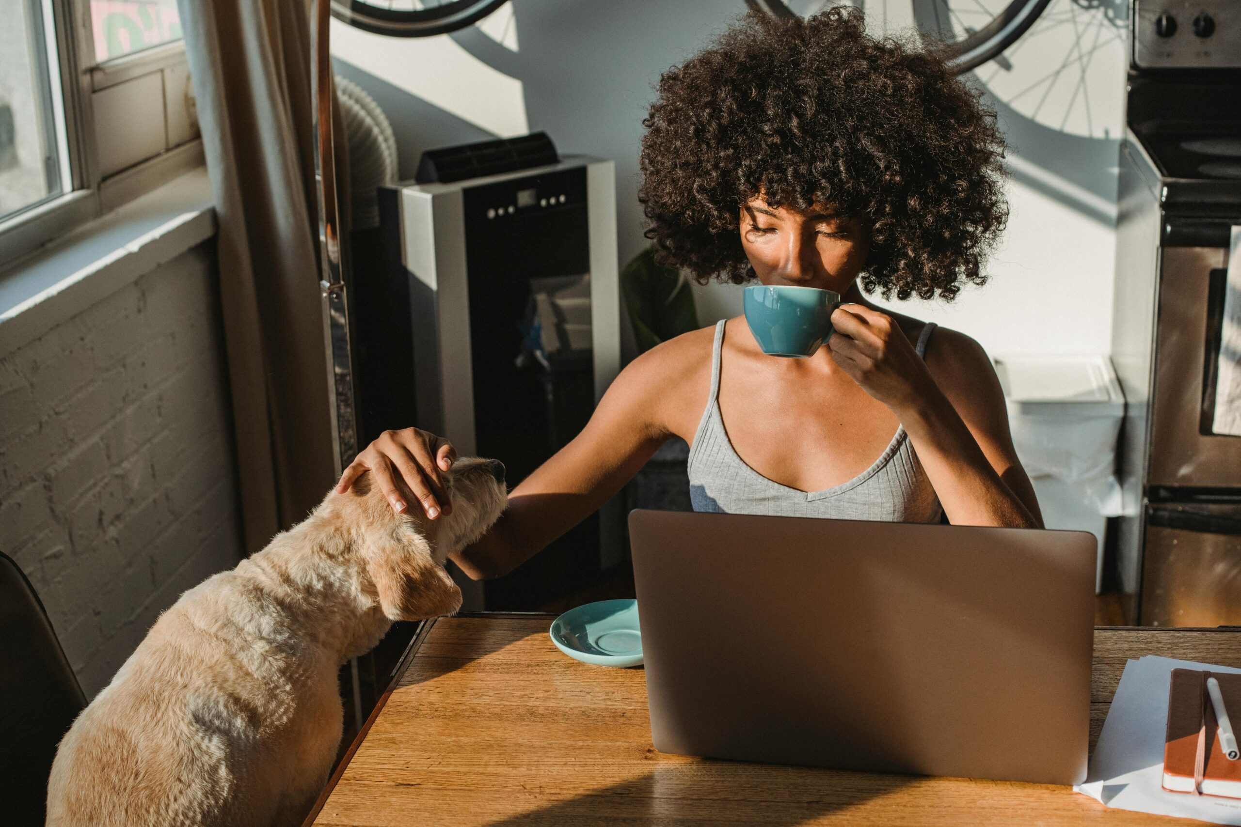 A woman with curly hair drinks from a mug and pets a dog while using a laptop in a sunlit kitchen.